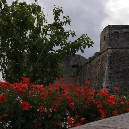 Porta Mare Appartamento